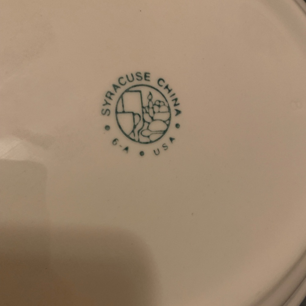 Vintage Syracuse China Platter - Strawberry Hill Pattern 6A - Picture 4 of 4